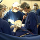 Illustration for article titled Surgeons In Brazil Successfully Implant A 3D-Printed Titanium Skull